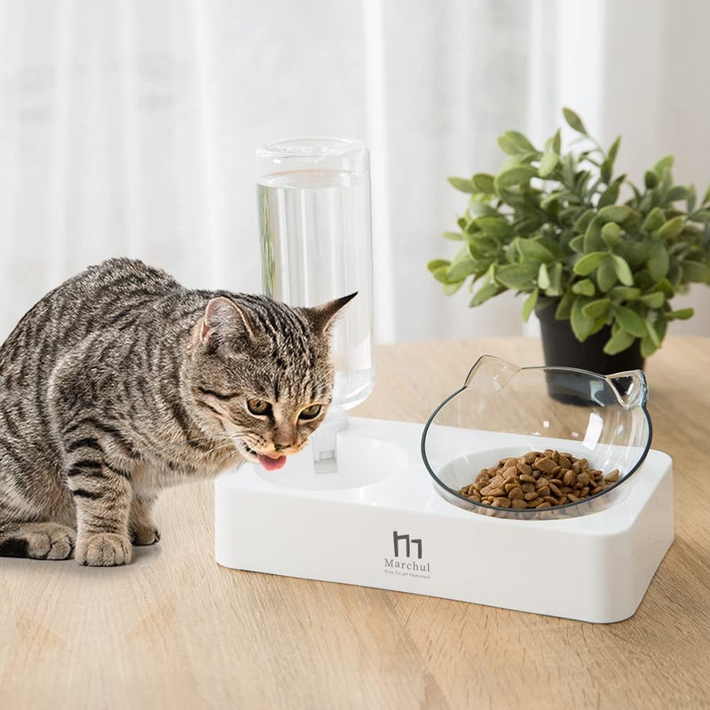 Marchul Double Elevated Dog Cat Bowl, Pets Water and Food Bowl Set, 15Â° Raised Tilted Dishes Indoor for Kitten, Puppies, Small or Medium Size Dogs Cats - Image 2